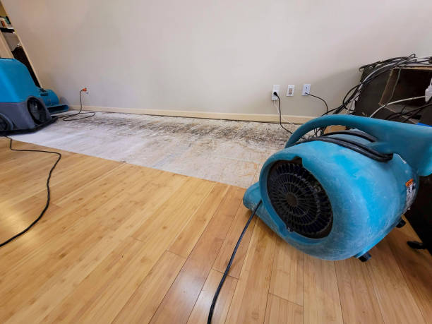 Professional Flood Damage Cleanup technician working in Landisville, PA